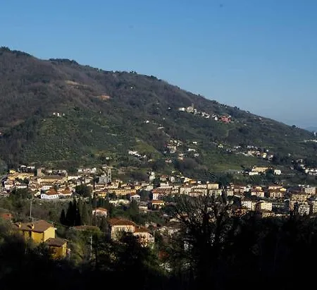 Macchini